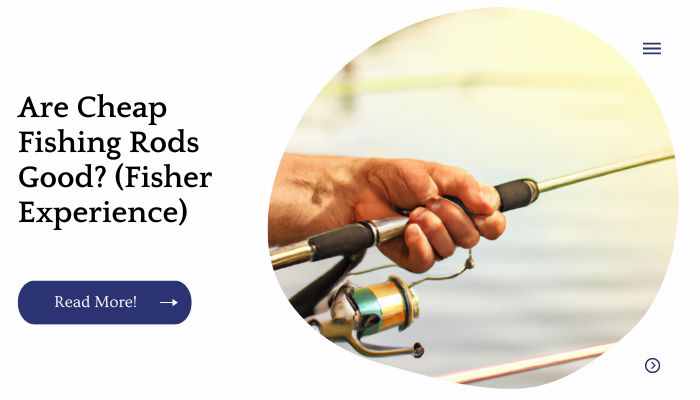 Are Cheap Fishing Rods Good? (Fisher Experience)