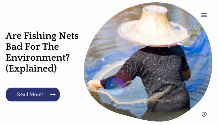 Are Fishing Nets Bad For The Environment? (Explained)
