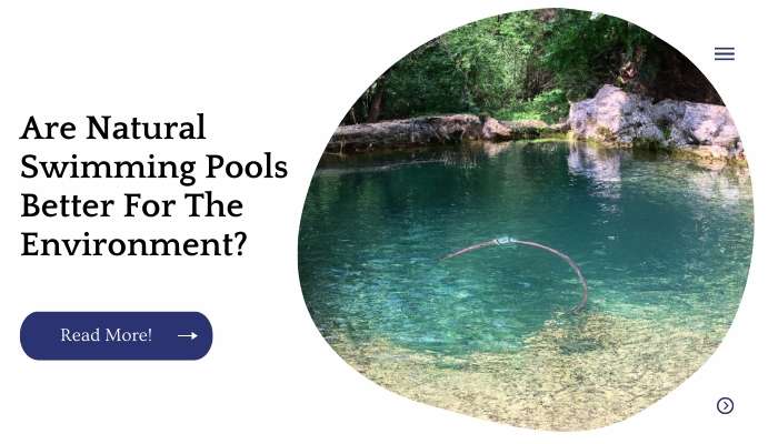Are Natural Swimming Pools Better For The Environment?