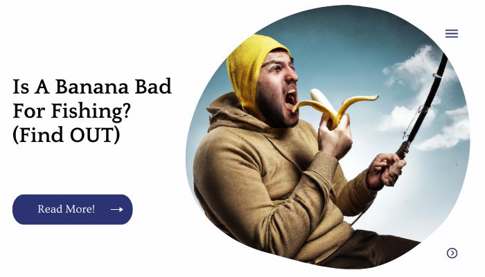 Is A Banana Bad For Fishing? (Find OUT)