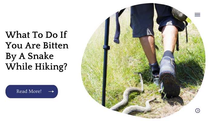 What To Do If You Are Bitten By A Snake While Hiking?