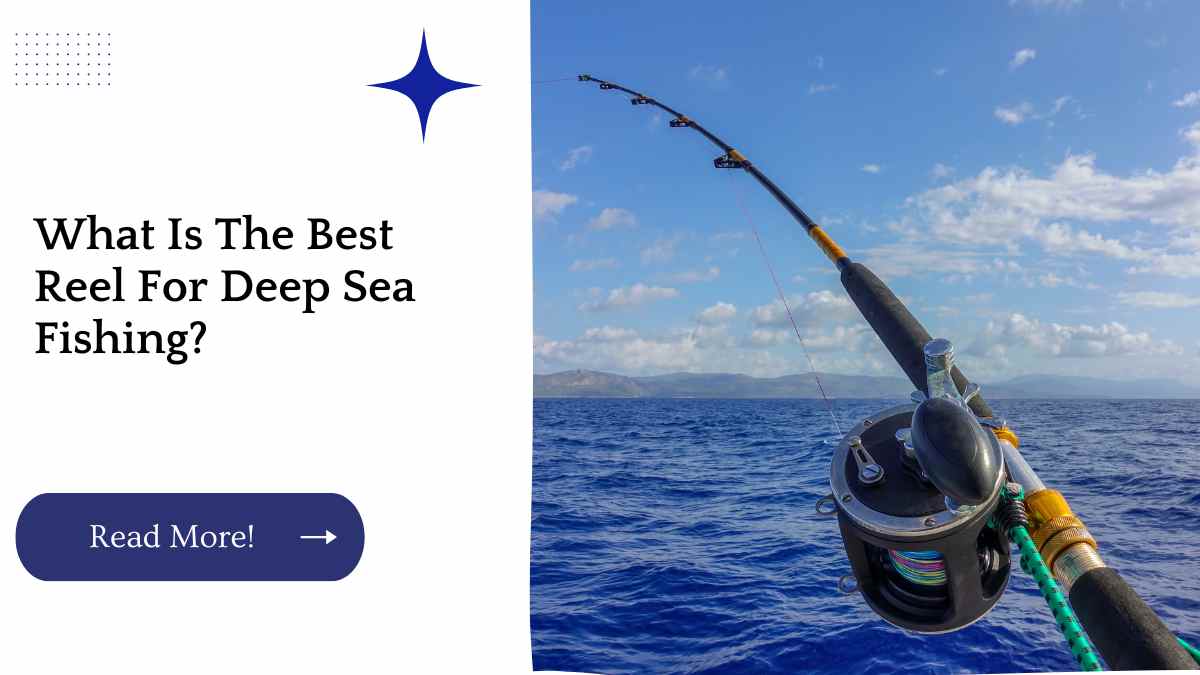 What Is The Best Reel For Deep Sea Fishing?